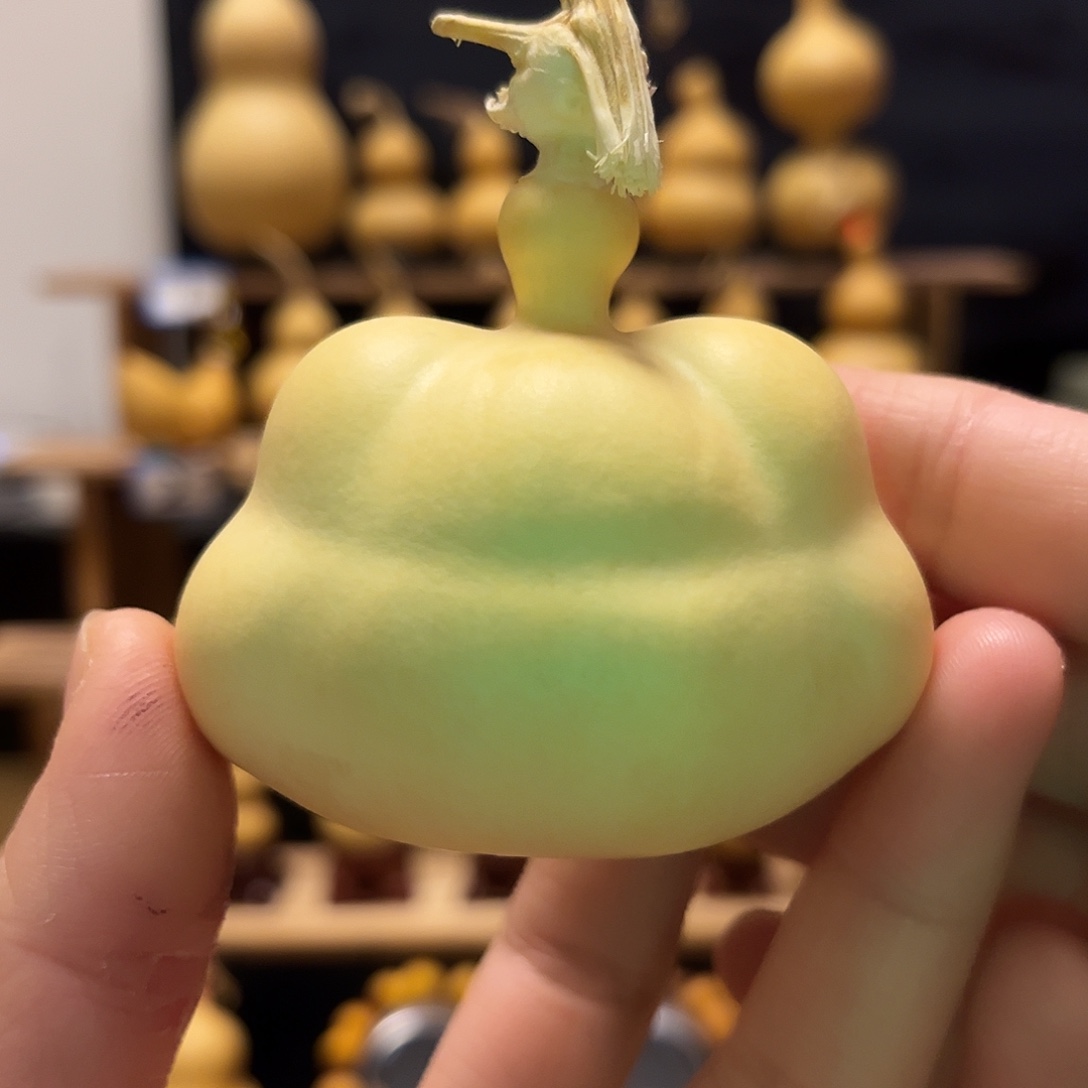 西***贝精品熊脸钱袋子1把