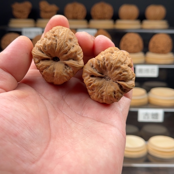 全品36加尺寸古蟾