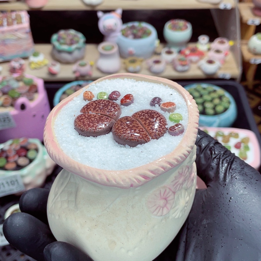 夜间零下地区拍保温箱w1127