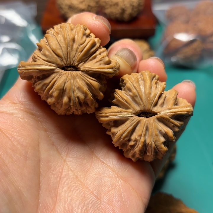 李***祁核桃41尺寸四座楼
