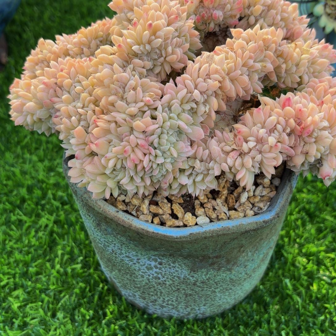 Nbbjkkbvvjjbhjbvjkjbbbbb