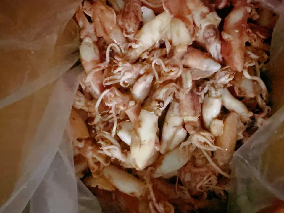 精品海兔本港小子乌