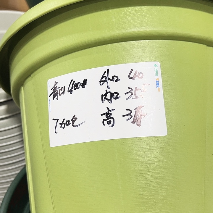 青山口40高34绿色无托5个