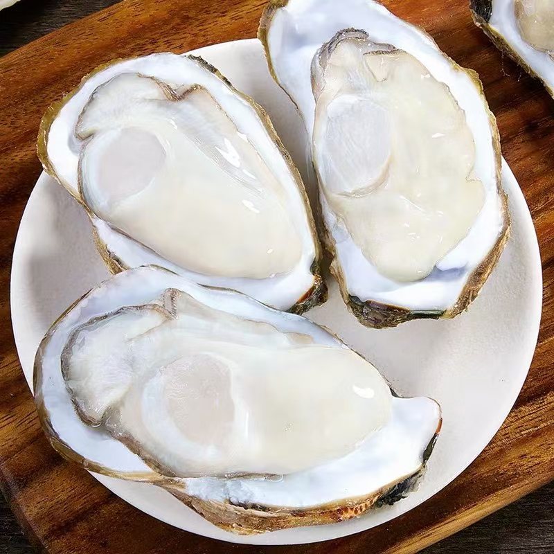 海洋牧场｜大号5+乳山生蚝鲜活牡蛎拍10个送2个到手12个总净重3KG
