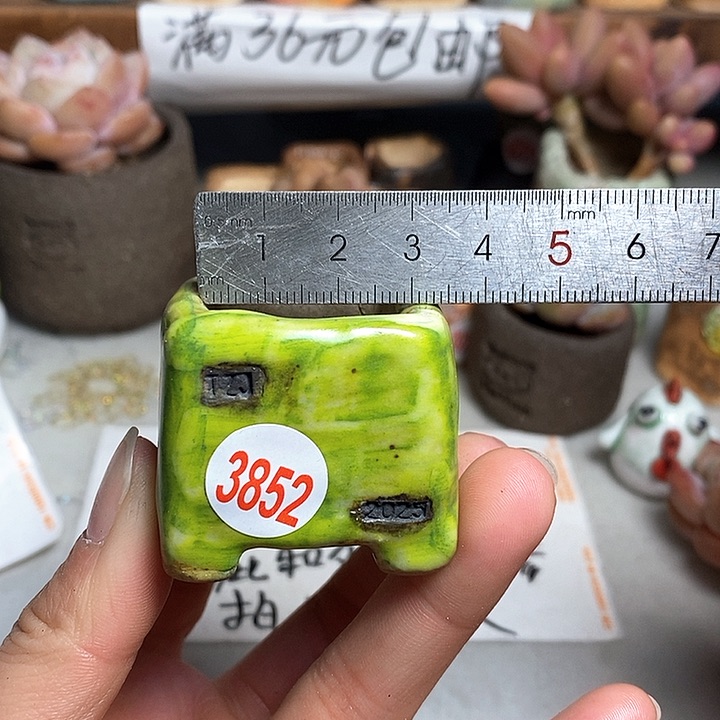 红陶拍5送一个小