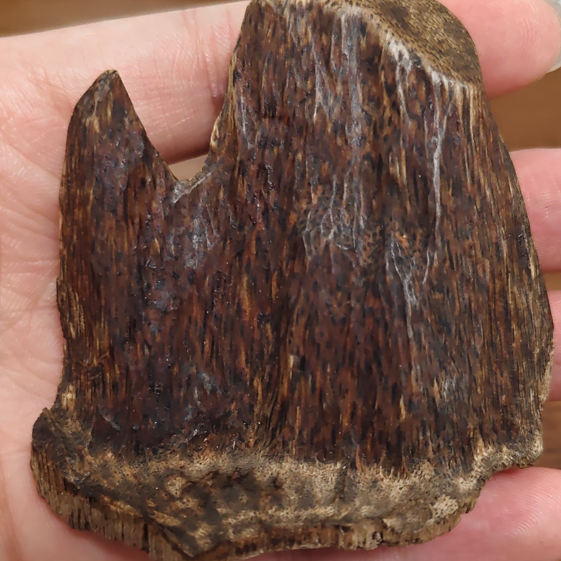 沉香海南沉香原料高油块料室内上炉薰香品香碳熏原木碎料