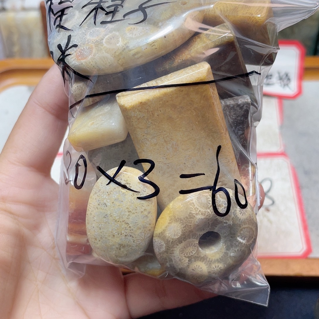 程***子硅化珊瑚（珊瑚玉）合金颈饰