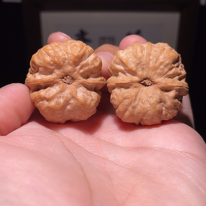 *****手串/手链核桃蛤蟆头  