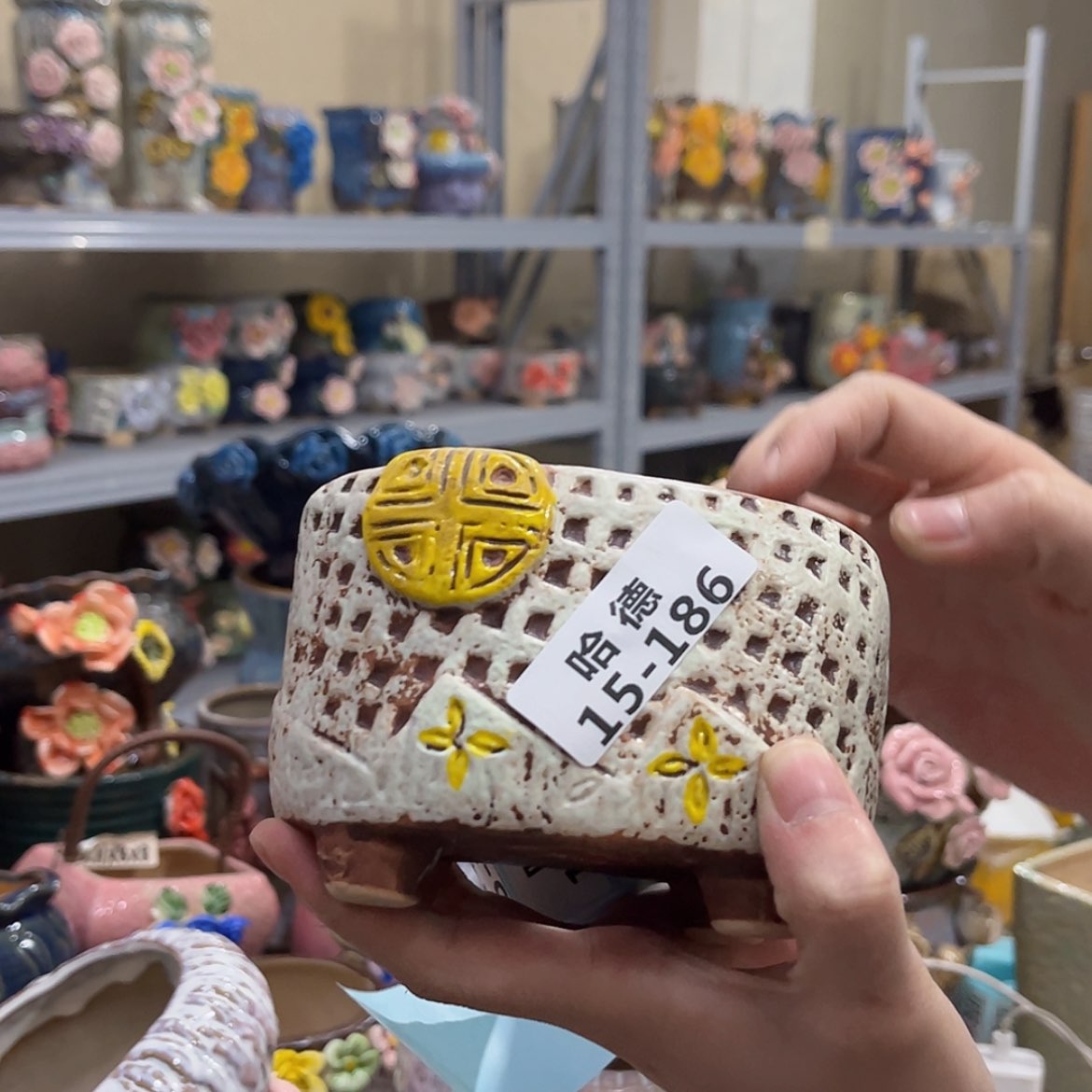 【闪购商品】红陶15186