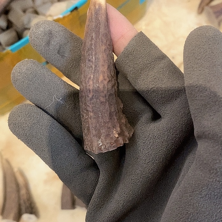 猪***a银S925鹿鹿。        