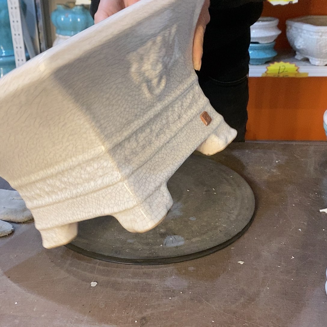 花盆花盆里放满鲜花