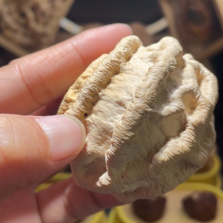 吊坠文玩核桃虫眼单只乾坤核桃