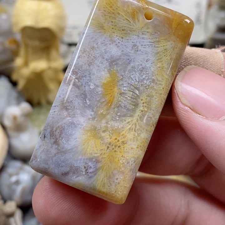 颈饰未镶嵌硅化珊瑚（珊瑚玉）有瑕