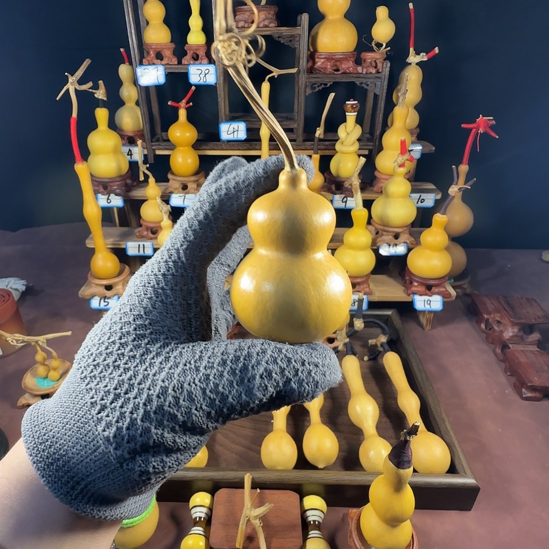 1***6222222222222222222222222