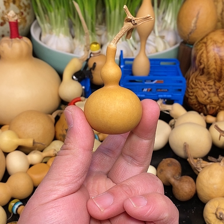 放*精品葫芦手把葫芦37