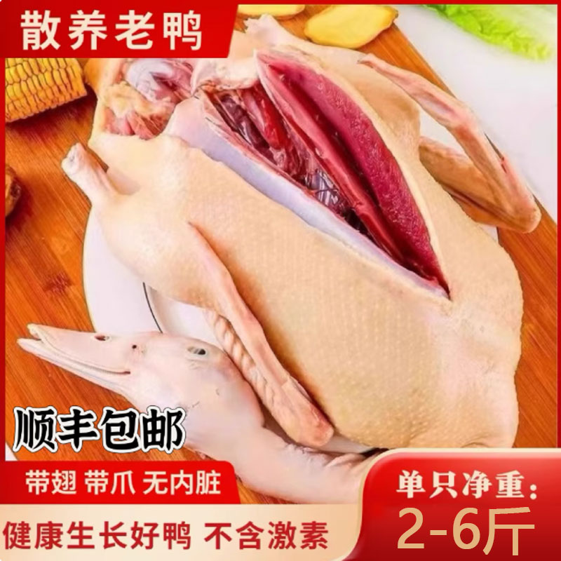 农家散养老鸭子现杀整只土鸭子三年以上正宗老土鸭鸭肉生鲜麻鸭