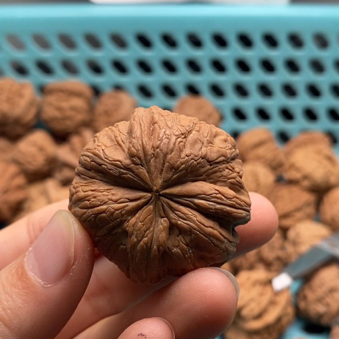 飞***觉核桃定制商品不退不换