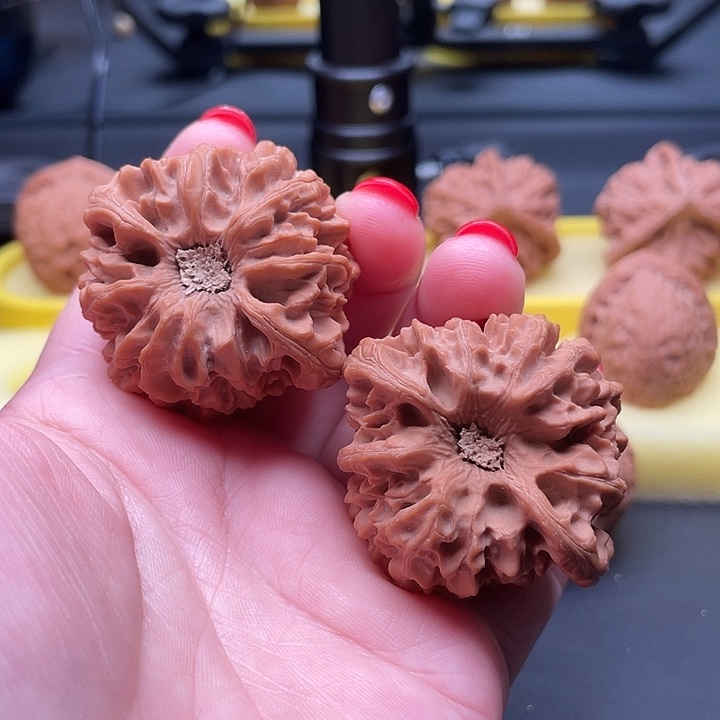 全品无修龙门涧42/39/42