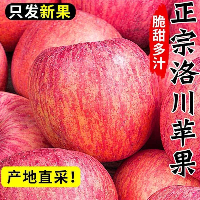 正宗陕西洛川苹果红富士新鲜应当季孕妇水果时令脆甜陕西一级果