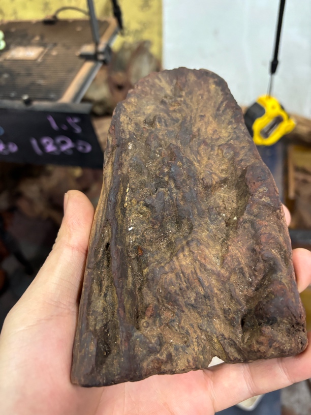 海南黄花梨，老料