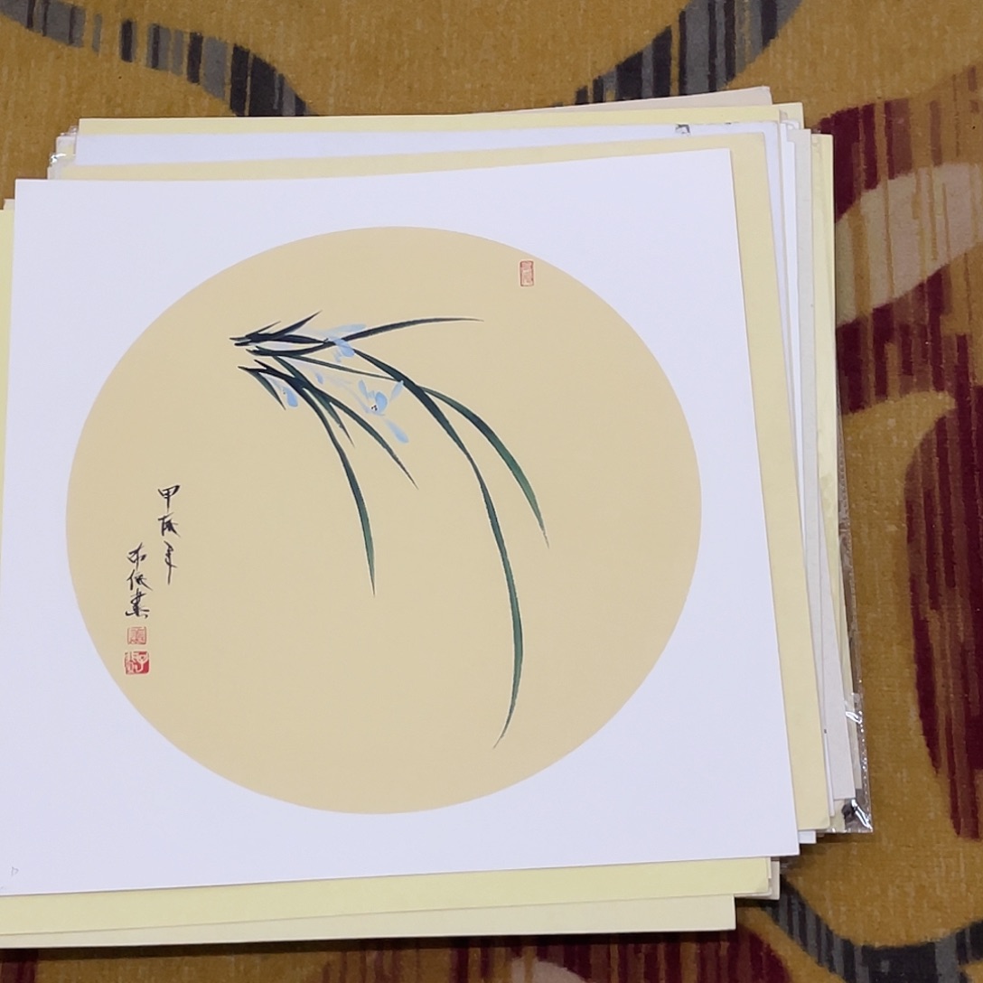 国画小*狸卡纸50X50（9998999999999999