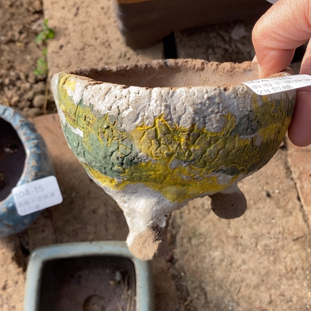 16号多肉盆口径10