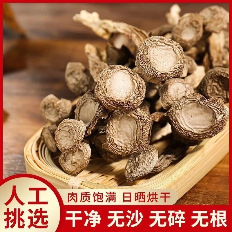 甄选鹿茸菇干货煲汤干锅特产新货脆脆菌菇500g带包装重量