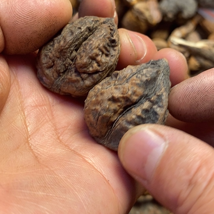 吊坠桃核哪里的我115