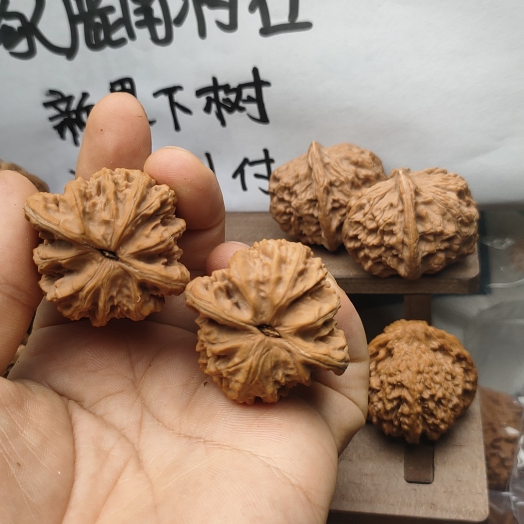 南将石老树新果全品无修