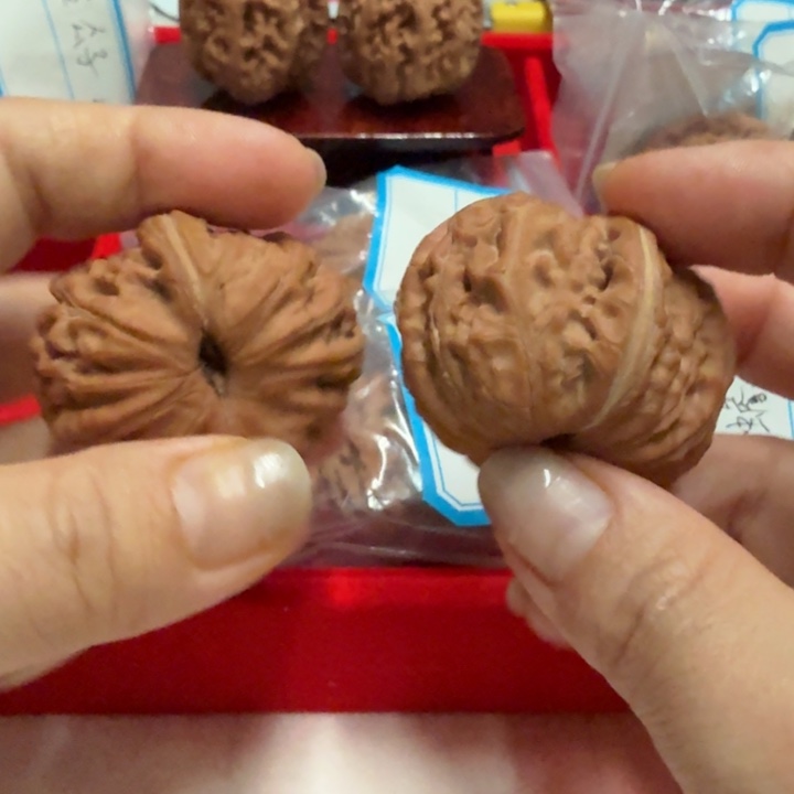 狗***剩核桃元宝元宝元宝