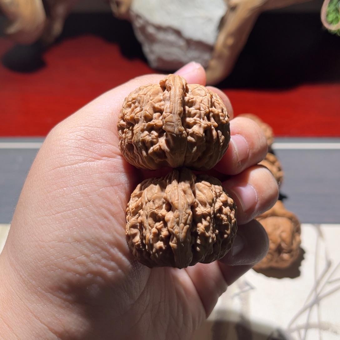 文玩核桃吊坠37白狮子