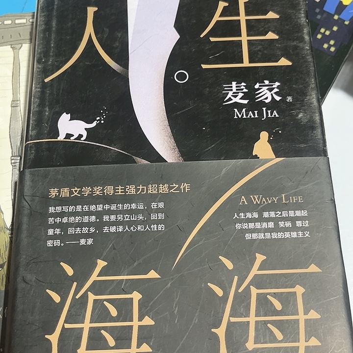 人生海海新书推荐全新