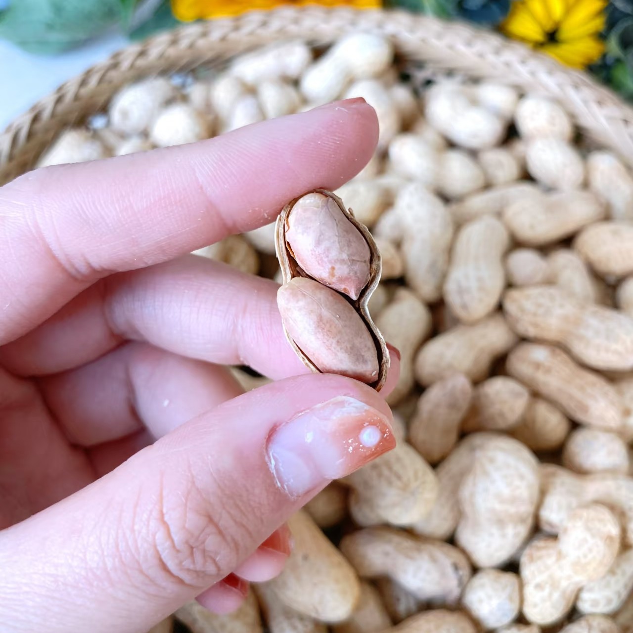 【坚果季】五香花生一斤装