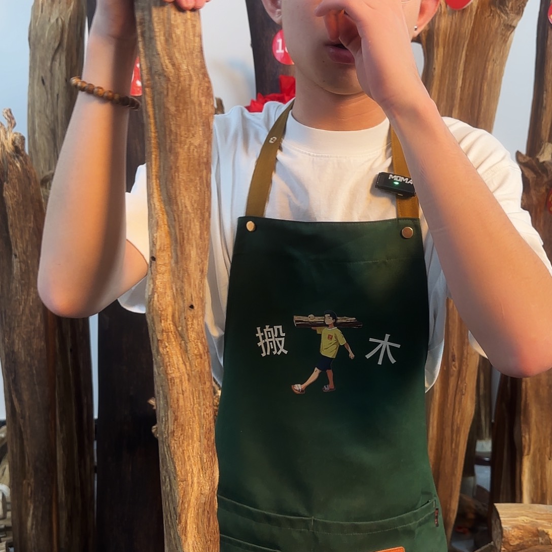 沉香摆件天然沉香原木摆件➕底座