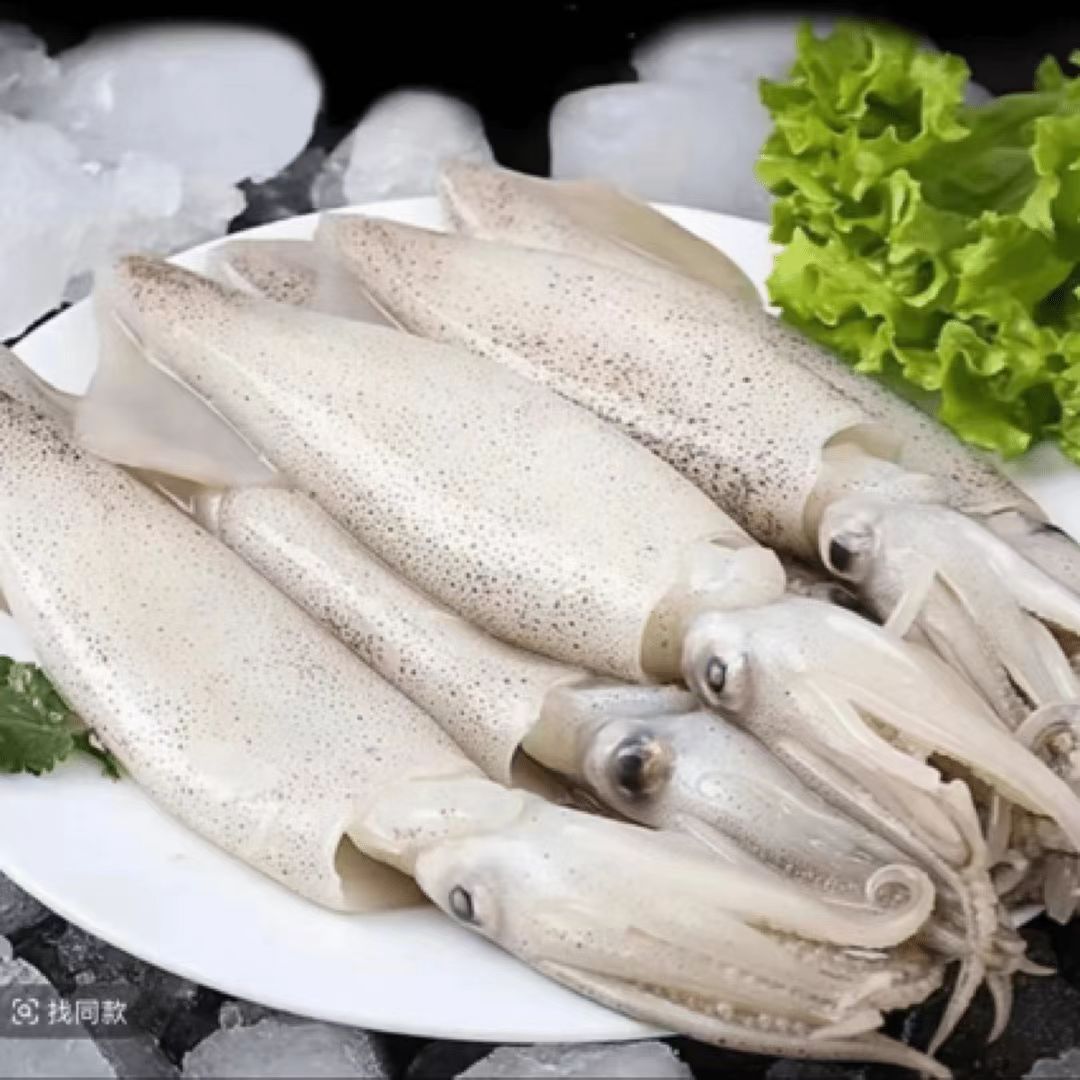 连云港发货  新鲜速冻籽乌笔管鱼 500g/包*5包  6条左右/包