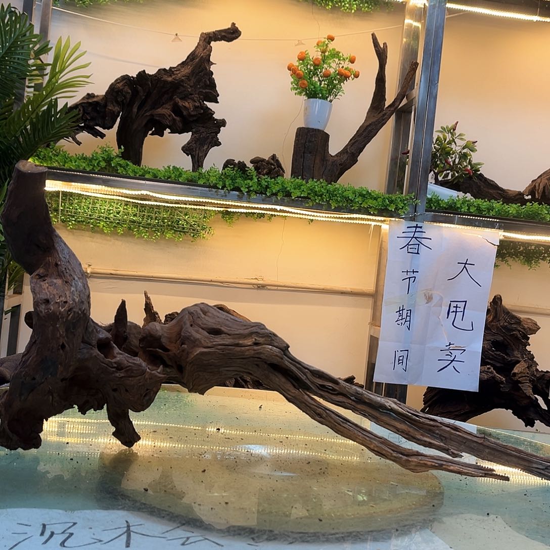 柚木沉木鱼缸造景