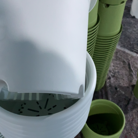 树脂25奶白无托6个