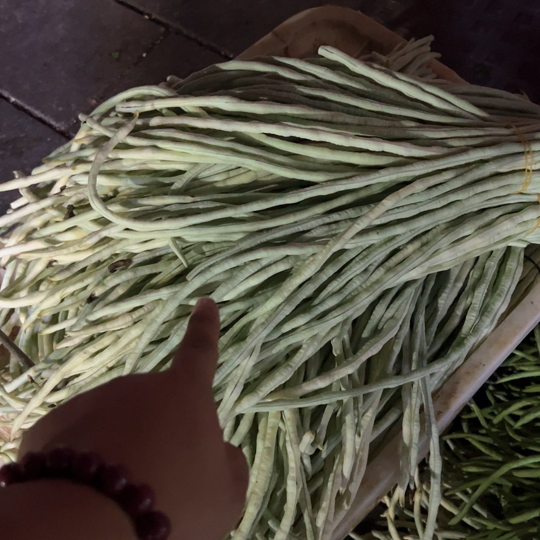 中国大陆长豆角三斤