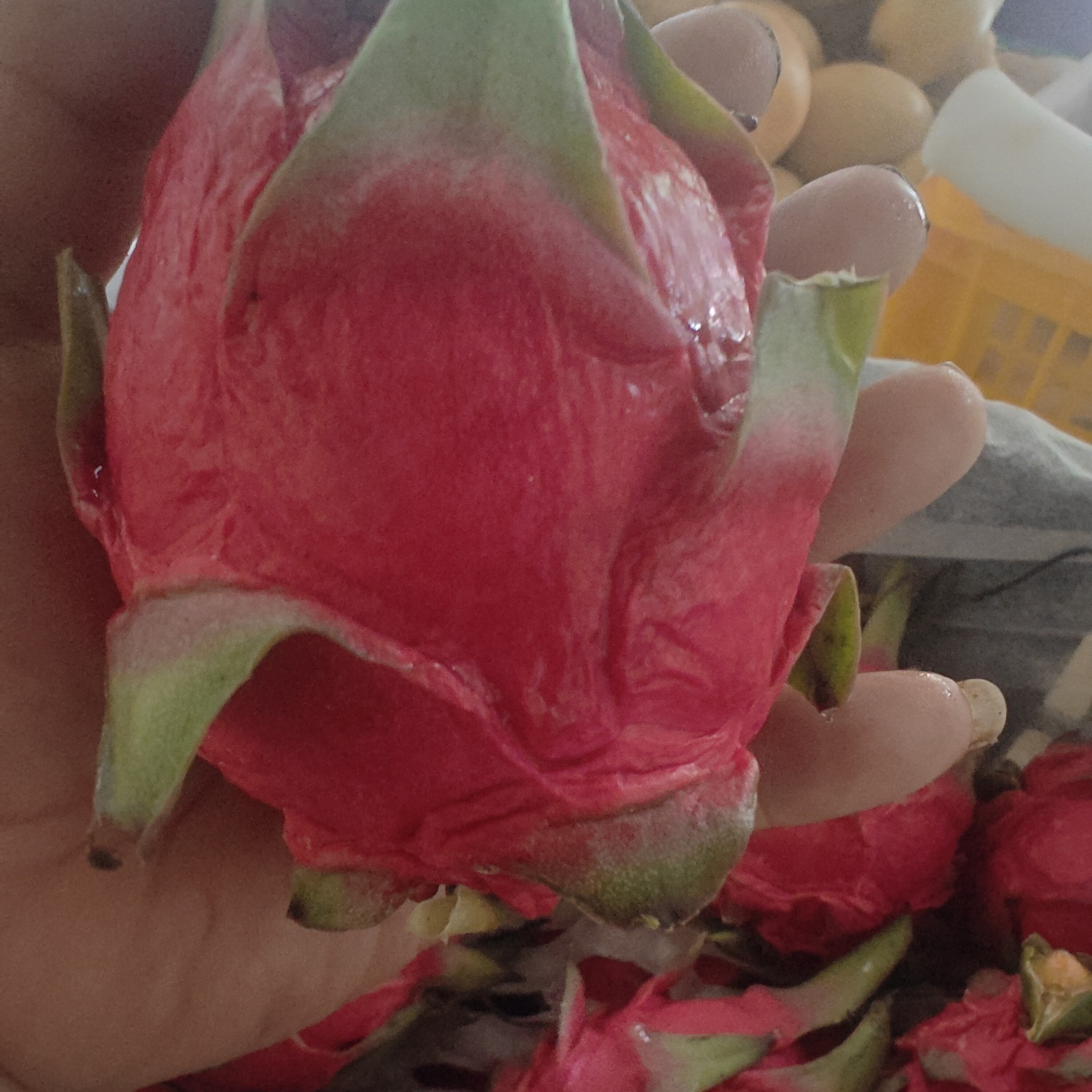 30火龙果，10颗一组黑龙江省