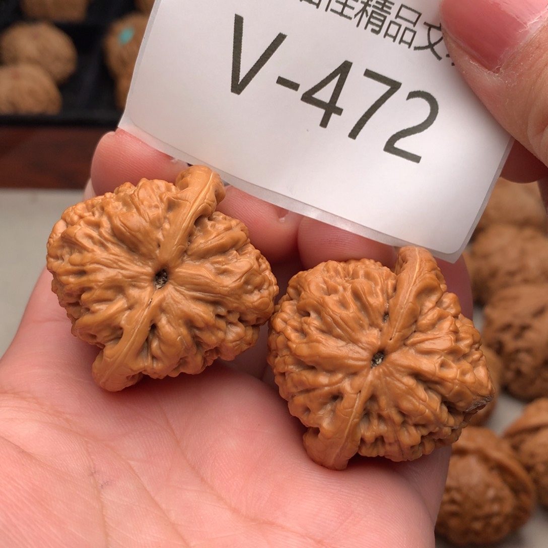 文玩核桃把件39金公子……….