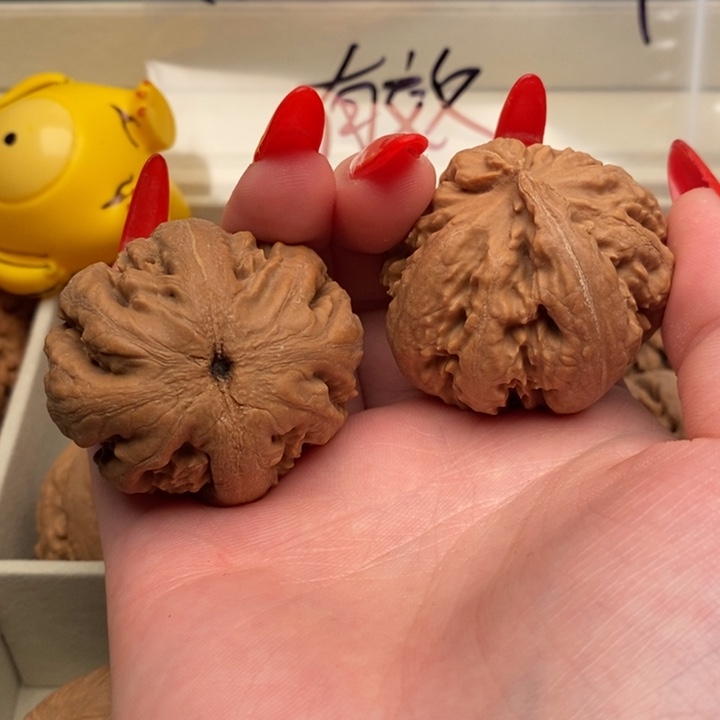 徐***徐霸王龙全品无修一刀没动