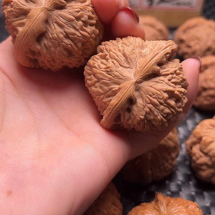 孙*牛文玩核桃把件46白狮子