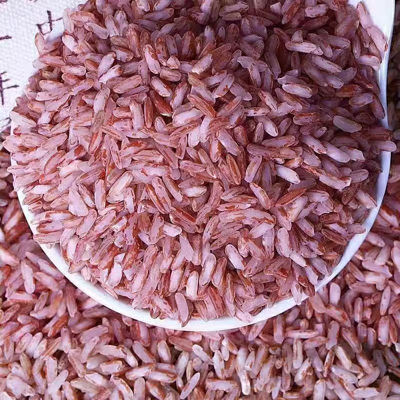 【云南红米】云南农家高原山货土特产精选颗粒正宗红米3斤食用