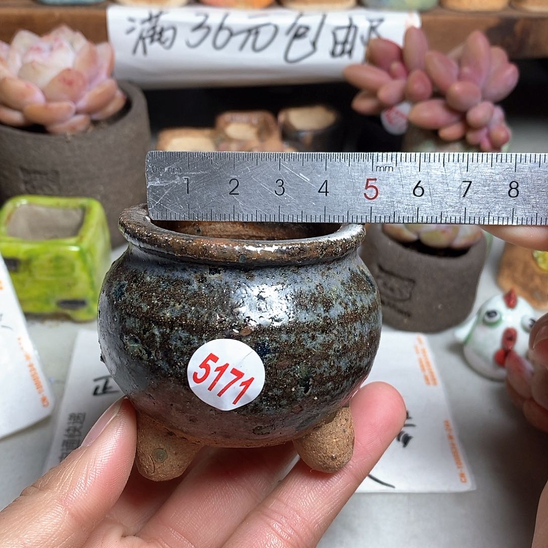 红陶拍5送一个小