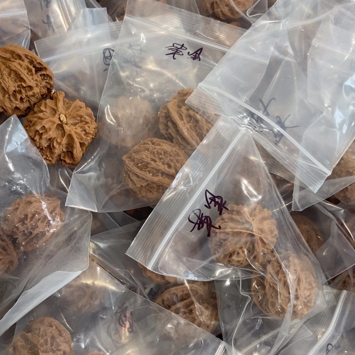 吊坠文玩核桃苹果瑕疵