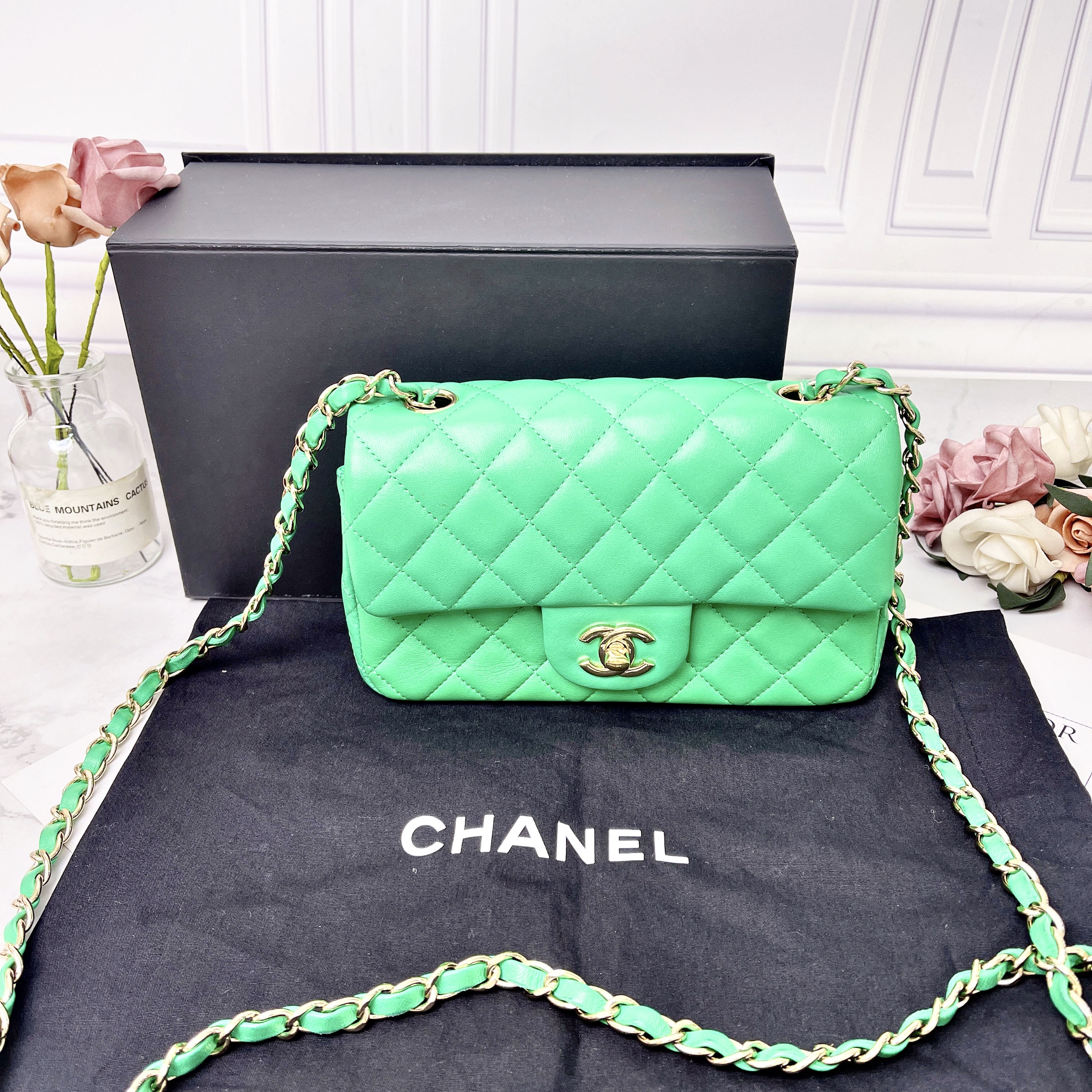 95新 Chanel/香奈儿 CHANEL/香奈儿绿色羊皮大mini单肩包