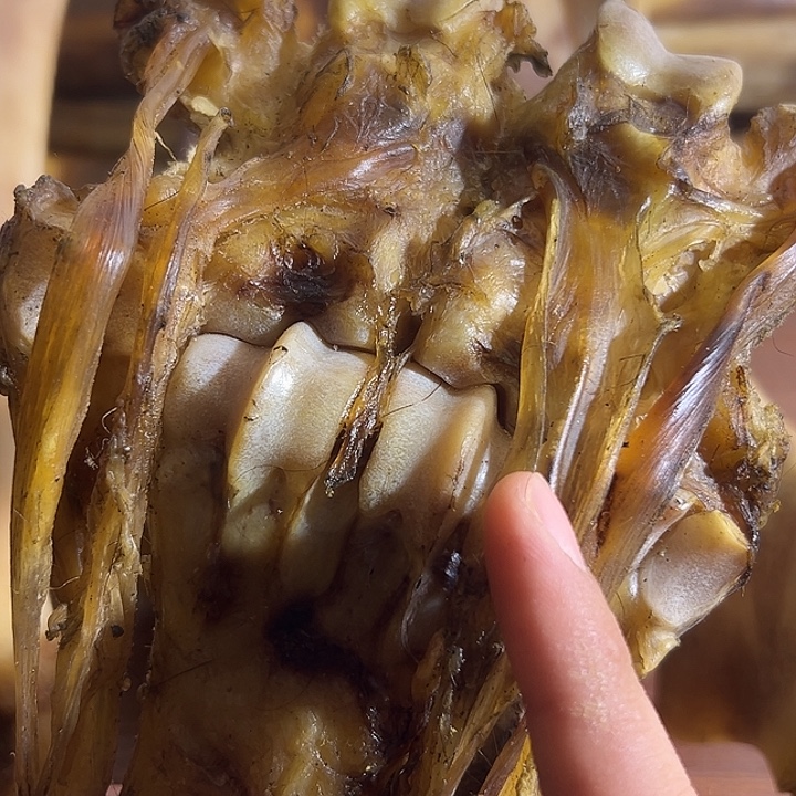 yyhu整套小的带劲一般