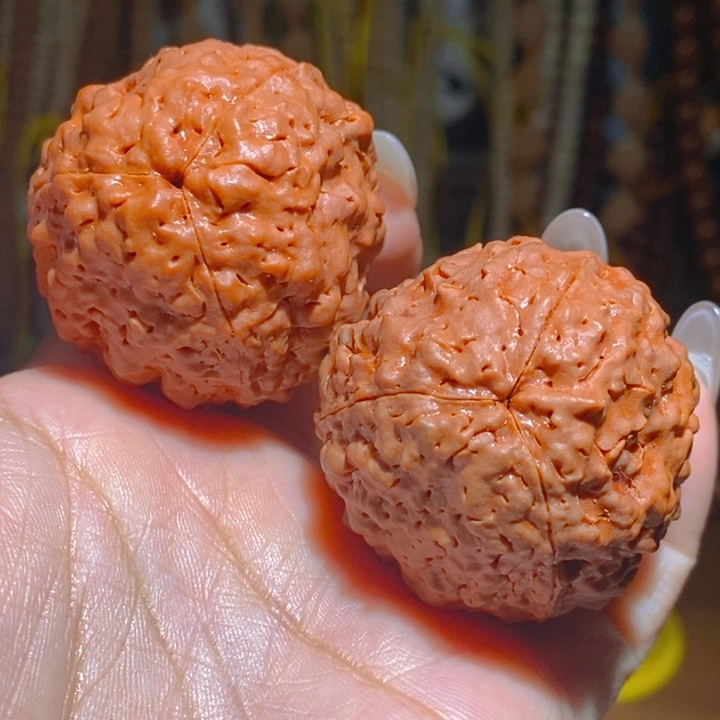 野生疙瘩龙金刚把件4250