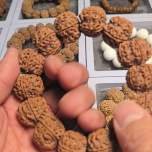 金刚菩提手串原生态的大金刚手串，梅花双龙，平头平尾