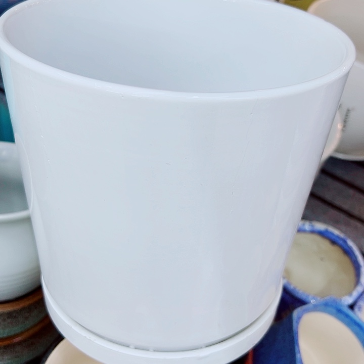 多肉植物陶瓷花盆